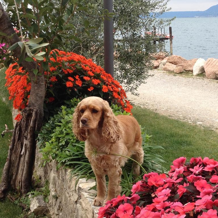 Locanda Fassa Brenzone sul Garda Exteriér fotografie